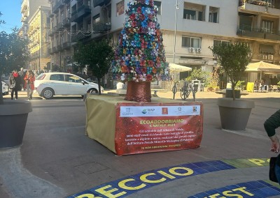 albero prospettiva